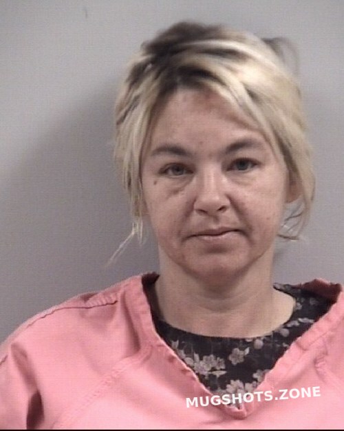 JESSICA BRANDY HINNANT 04/04/2023 Johnston County Mugshots Zone