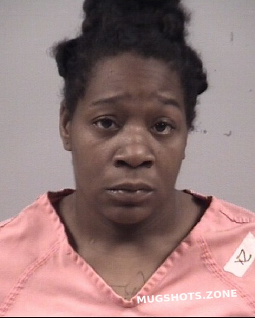 ASHLEY ROSE MCDONALD 04/06/2023 Johnston County Mugshots Zone