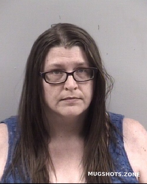 KERRI ANN MILLS 05/01/2023 Johnston County Mugshots Zone