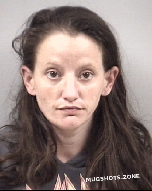 Brittany Gayle Morris 06132023 Johnston County Mugshots Zone 3822