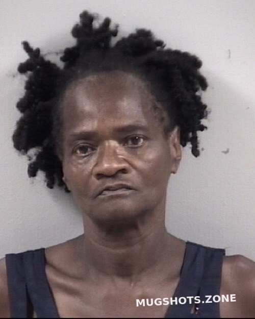 FLORA ANN BRISCOE 06/19/2023 Johnston County Mugshots Zone