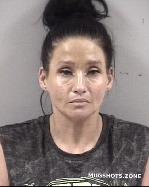 HEATHER ELIZABETH HASSLER 07/18/2023 - Johnston County Mugshots Zone