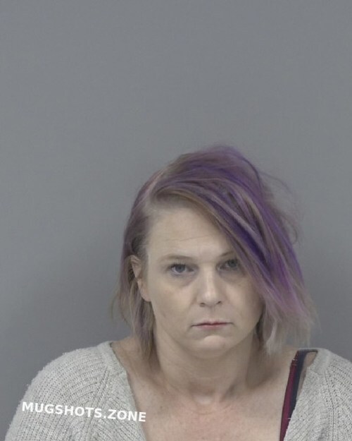 SHANNON LEE MCGEE 12/15/2023 Johnston County Mugshots Zone
