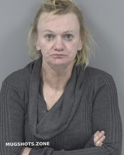 ELIZABETH ANN BAILEY 01/01/2024 Johnston County Mugshots Zone