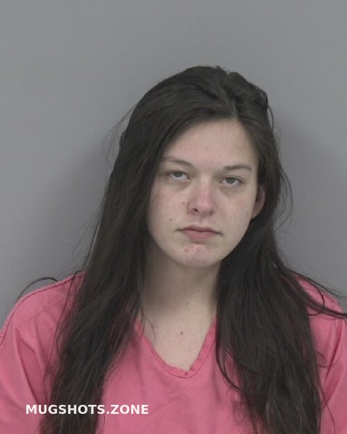 ALYSSA ANN ANDERSON 02/11/2024 - Johnston County Mugshots Zone