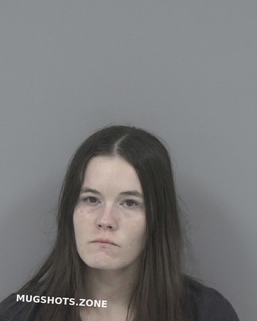 Elizabeth Nichole Stephens 02 12 2024 - Johnston County Mugshots Zone