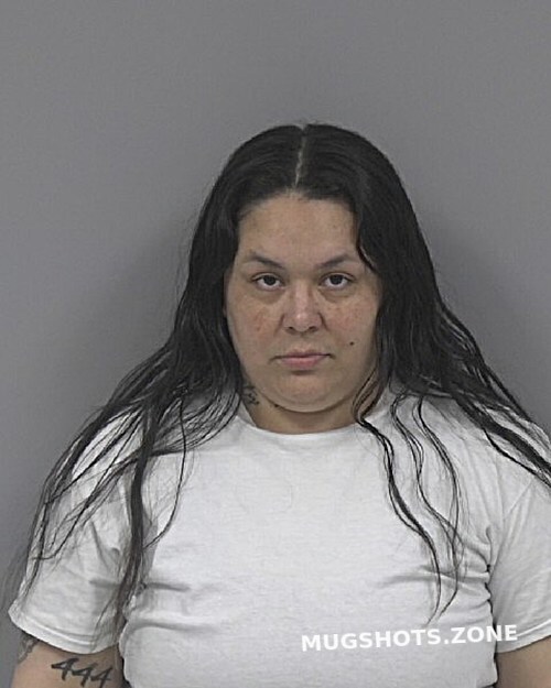 VELASQUEZ CRYSTAL 02/17/2025 Johnston County Mugshots Zone