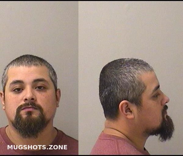 MAYA ARGENIS 01/05/2024 Kane County Mugshots Zone