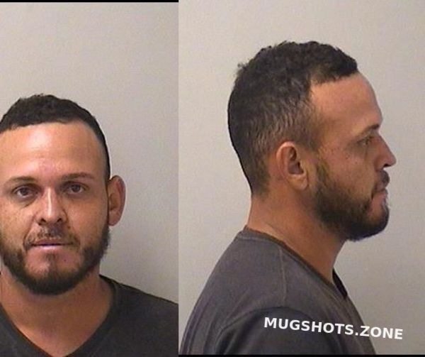 PAGOADA ZELAYA ELVIN R 08/31/2024 Kane County Mugshots Zone