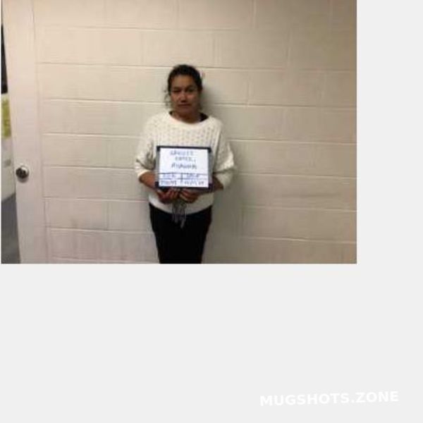 SANCHEZORTIZ AURORA 02/23/2025 Kane County Mugshots Zone