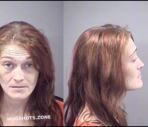 STRAIN EMMA J 11/28/2022 - Kankakee County Mugshots Zone