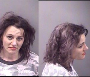 WEST HEATHER J 03/27/2023 - Kankakee County Mugshots Zone