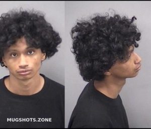 VISHNESKY SAMUEL S 06/11/2024 - Kankakee County Mugshots Zone
