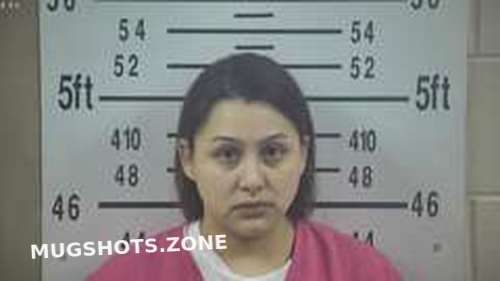 JAIMEE TORRES 03 31 2023 Kleberg County Mugshots Zone