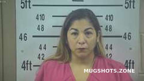 JOANNA ALANIZ 10/08/2023 - Kleberg County Mugshots Zone