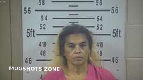 Rosa Santana 10192023 Kleberg County Mugshots Zone