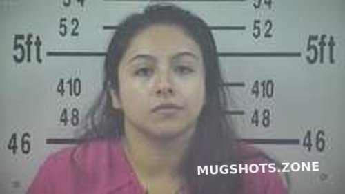 JUSTINE FERNANDEZ 12/28/2023 - Kleberg County Mugshots Zone