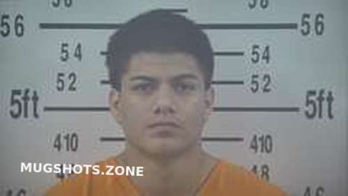 LUIS LUNA 02/03/2024 - Kleberg County Mugshots Zone