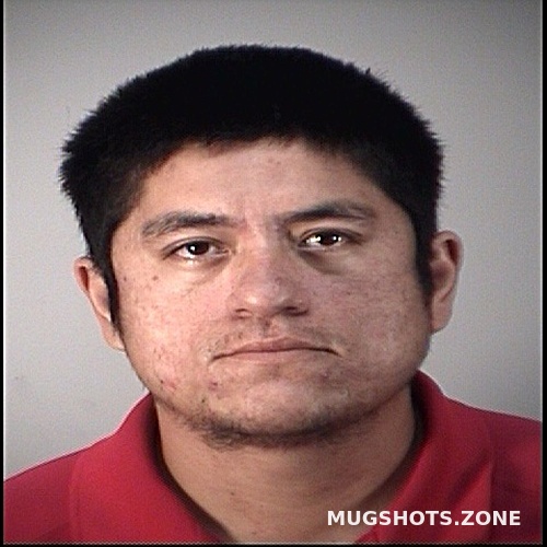 HECTOR GONZALEZ 11/18/2021 Lake County Mugshots Zone