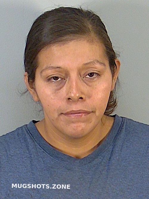 ARACELI GOMEZ 10/15/2022 Lake County Mugshots Zone