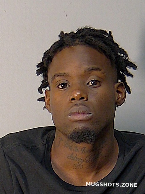 AYASI N BROOKS 11/15/2022 Lake County Mugshots Zone