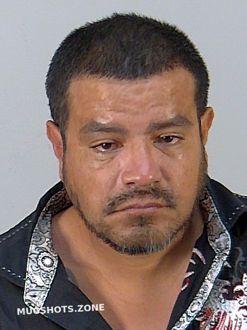 STEPHEN REISS HASSOL 11/20/2022 Lake County Mugshots Zone