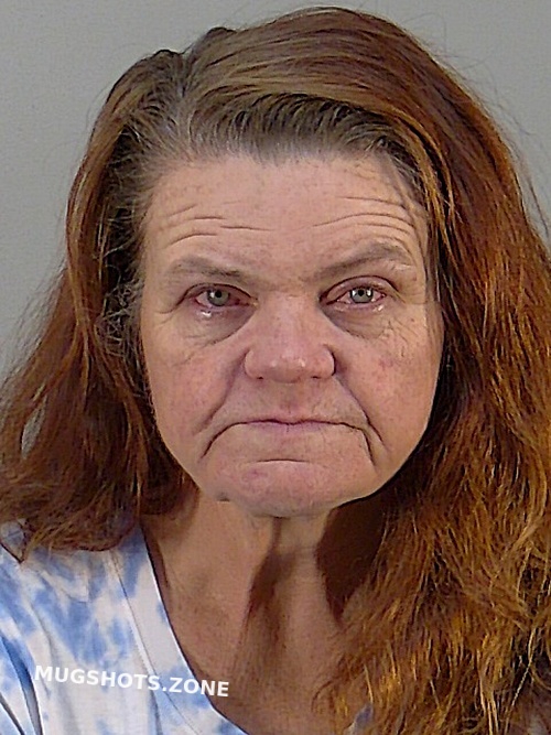 CAROL ANN HOWARD 12/23/2022 - Lake County Mugshots Zone