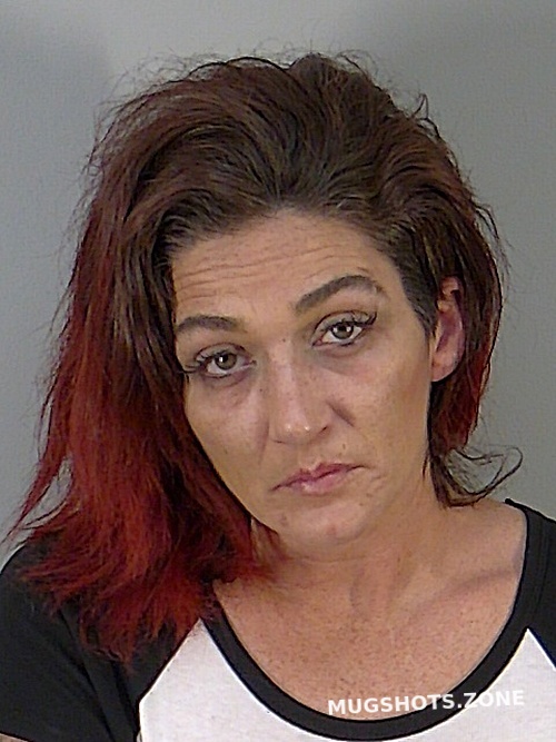 MISTIE RACHELLE JOHNSON Lake County Mugshots Zone