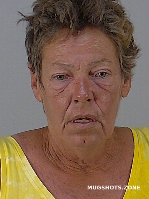 Tina Lynn Roberts 06 01 2023 Lake County Mugshots Zone