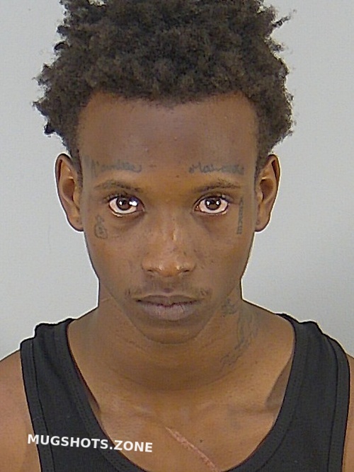 DEAN ALFRED JOHNSON 08/27/2023 Lake County Mugshots Zone