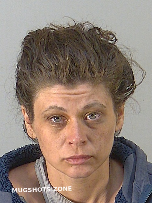 ALEXIS MICHELLE JOHNSTON 12/07/2023 - Lake County Mugshots Zone