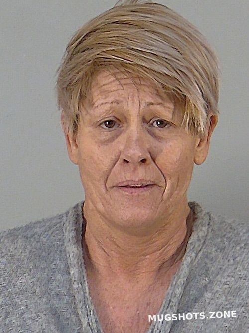 SHAWN RENEE REYNOLDS 01/24/2024 Lake County Mugshots Zone