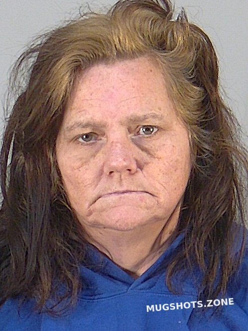 DAWN MARIE ALLEN 01/29/2024 - Lake County Mugshots Zone