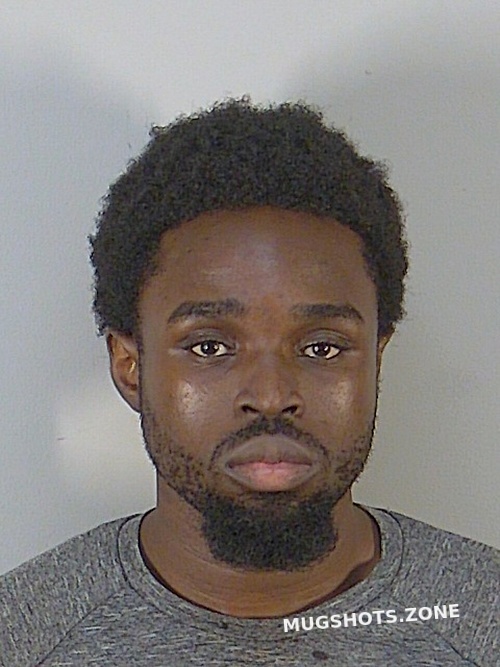 TAHJERE KESHAWN POWELL 03/20/2024 - Lake County Mugshots Zone