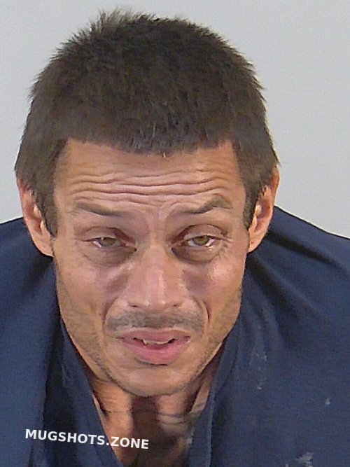 SAMUEL PHILLIP SANDOR 11 19 2024 Lake County Mugshots Zone samuel-phillip-sandor-11-19-2024-lake-county-mugshots-zone