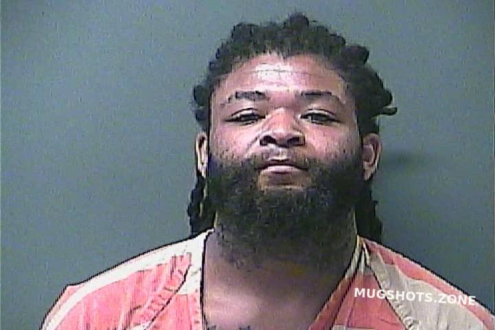 WASHINGTON RYAN ALEXANDER 10/25/2024 - Laporte County Mugshots Zone