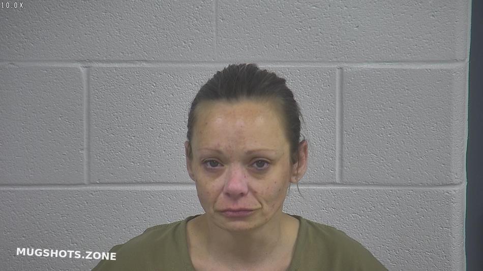 LEE BRANDY N 04/01/2024 Laurel County Mugshots Zone
