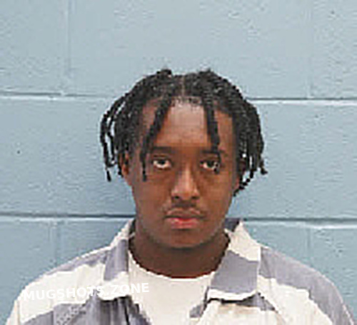 ANFERNEE DASHAWN WILLIAMS 03/14/2023 - Lee County Mugshots Zone