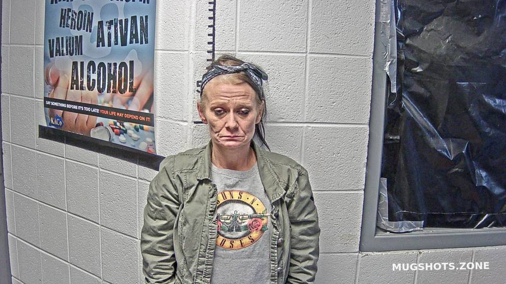 ROSS CYNTHIA KAY 04/19/2022 Letcher County Mugshots Zone