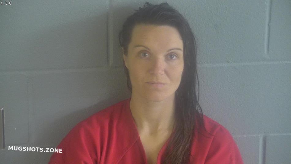 DAVIS BRANDY 12/21/2022 Levy County Mugshots Zone