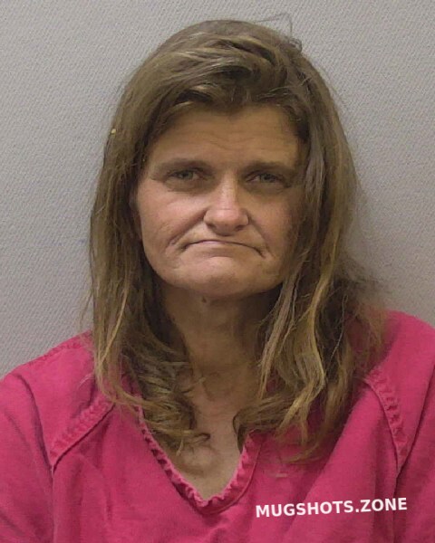 King Susan Marie 09 22 2023 Lexington County Mugshots Zone