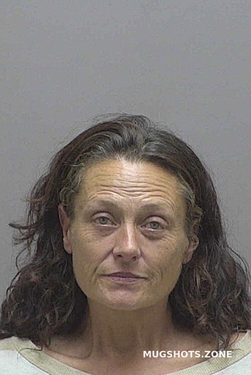 JONES PAULA LYNN 05/17/2025 - Lincoln County Mugshots Zone