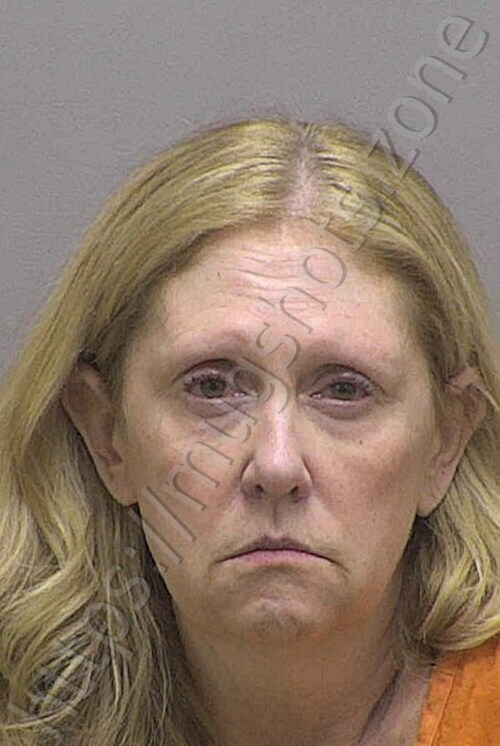 FURNER JESSIE ANN 03/28/2026 - Lincoln County Mugshots Zone