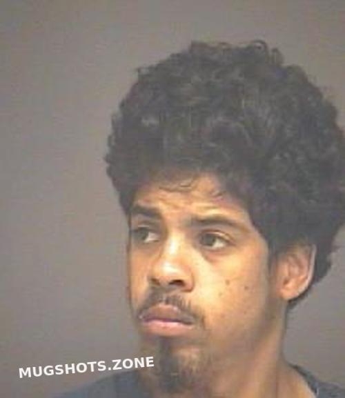 CARTER LAMONTE 06/29/2024 Lorain County Mugshots Zone