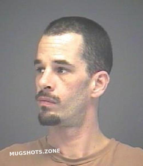 THOMSON NICHOLAS RYAN 08/14/2024 Lorain County Mugshots Zone