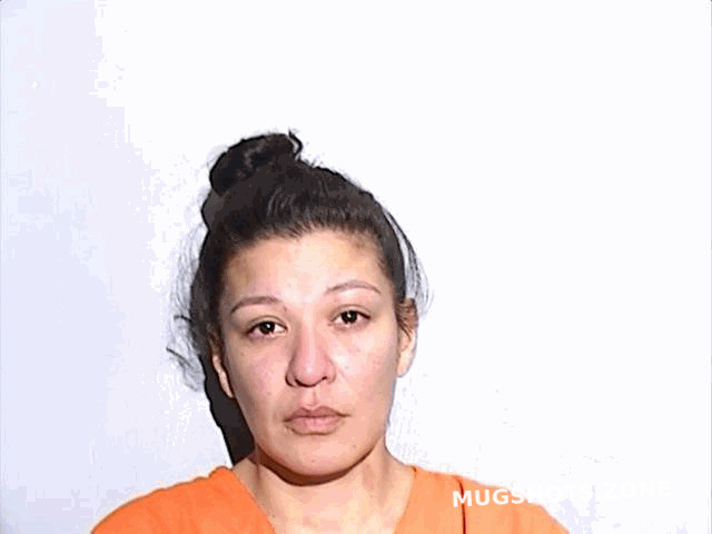 NAVARRO DOLORES LAURA 08/16/2023 - Lucas County Mugshots Zone