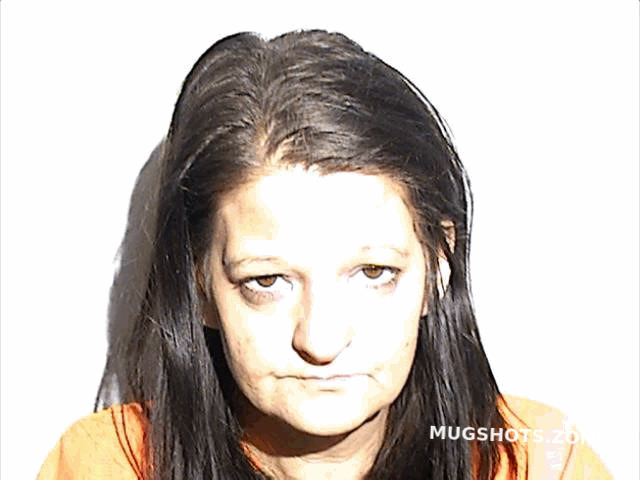 Tousignant Mary Elizabeth 12 22 2023 Lucas County Mugshots Zone