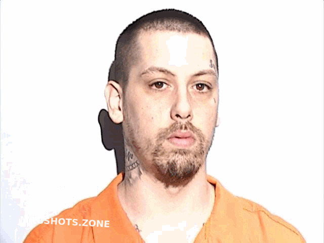 MICKHAIL CHRISTOPHER JOHN 03/12/2024 - Lucas County Mugshots Zone