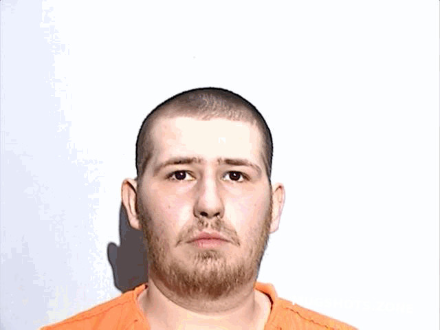 MCDOWELL BRANDON MICHAEL 04/22/2024 - Lucas County Mugshots Zone