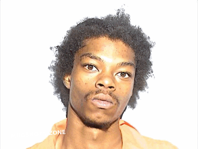 WRIGHT-LINDSEY KEYAUN KESHAWN 05/10/2024 - Lucas County Mugshots Zone